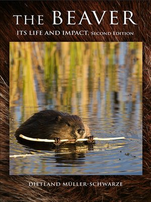 cover image of The Beaver